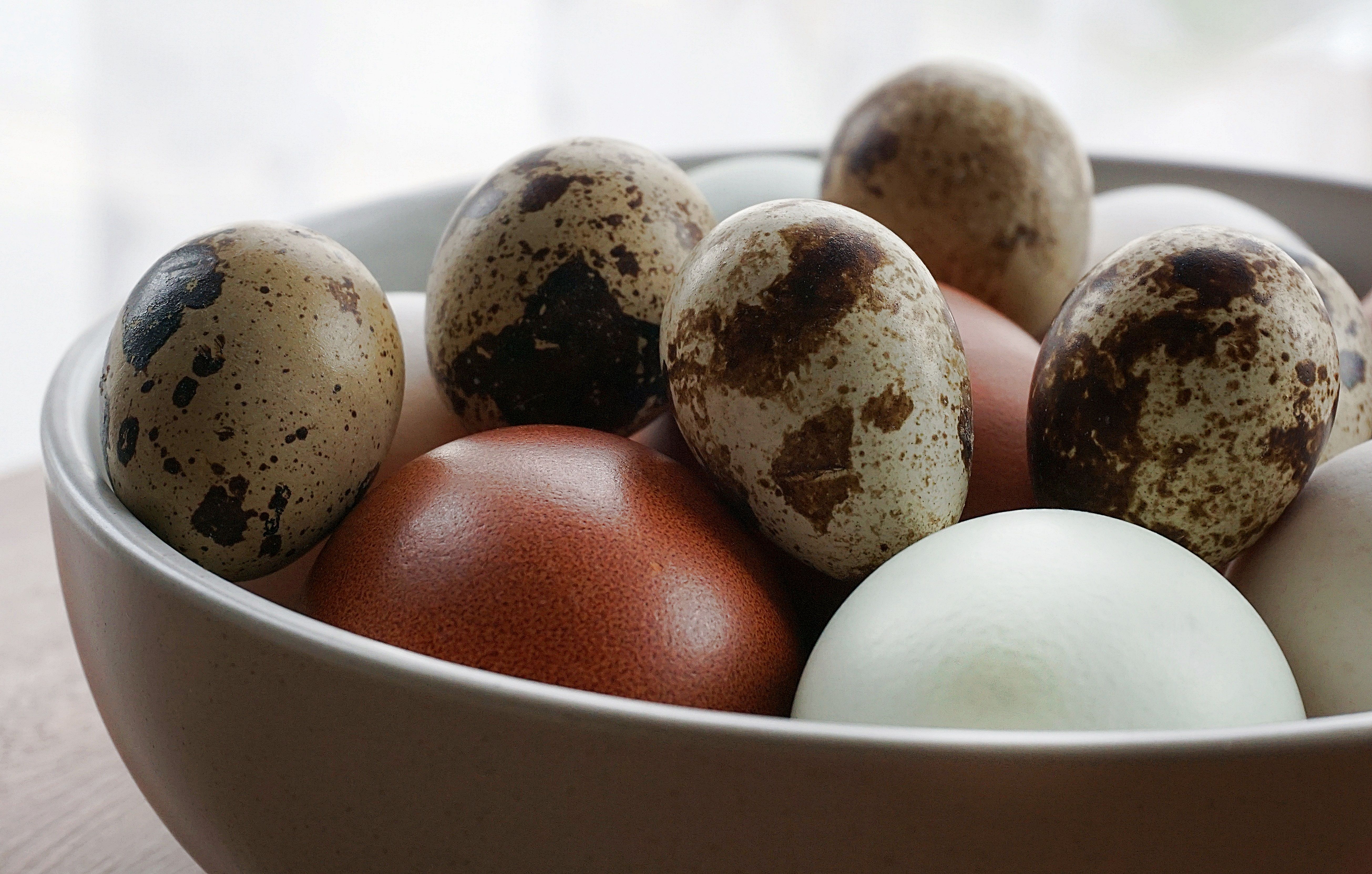 A bowl of speckled quail eggs