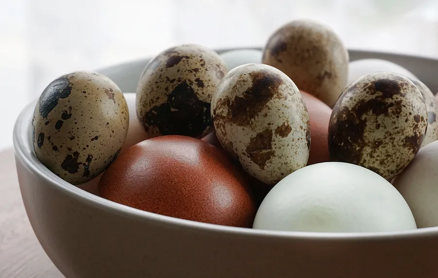 A bowl of speckled quail eggs